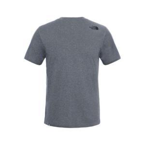 T-shirt. grigio