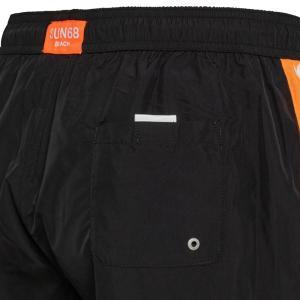 Boxer mare . nero