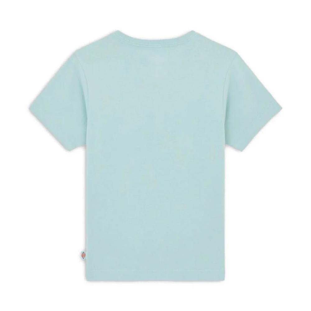 dickies t-shirt dickies. verde acqua - foto 2