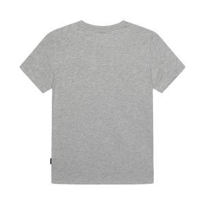 T-shirt . grigio
