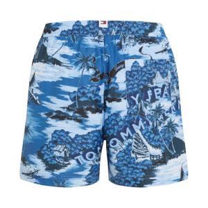 Boxer mare . blu/fantasia