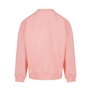 Felpa . rosa