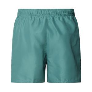 Boxer mare . verde