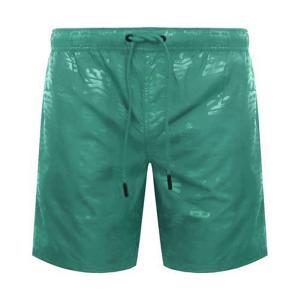 Boxer mare . verde