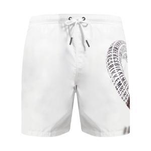 Boxer mare . bianco
