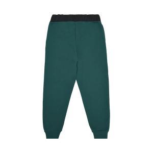 Pantafelpa . verde