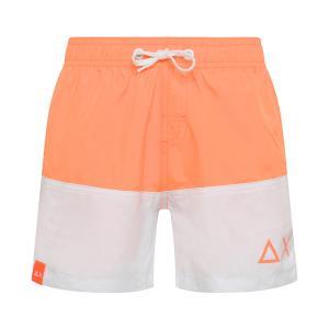Boxer mare . arancio