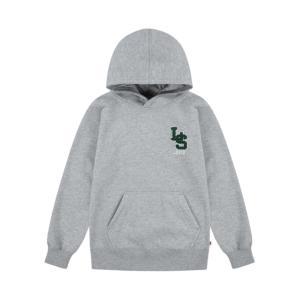 Felpa levi's. grigio