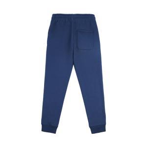 Pantafelpa . blu