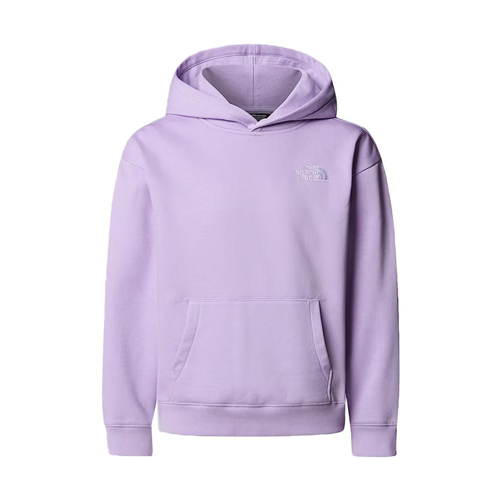 the north face felpa the north face. glicine - foto 1