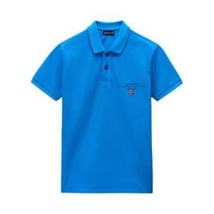 Polo . celeste