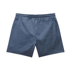Boxer mare . piombo