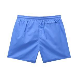 Boxer mare . celeste
