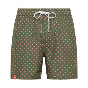Boxer mare . verde