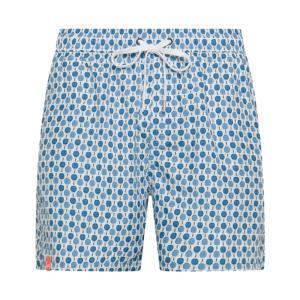 Boxer mare . bianco