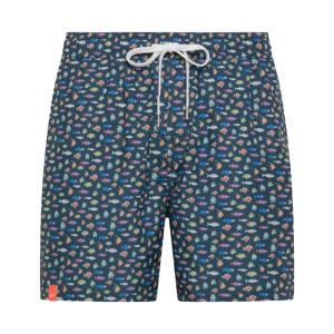 Boxer mare . blu/fantasia