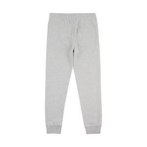 Pantafelpa . grigio