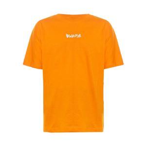 T-shirt discaimer. arancio