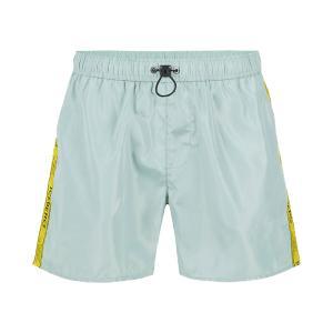 Boxer mare . verde acqua