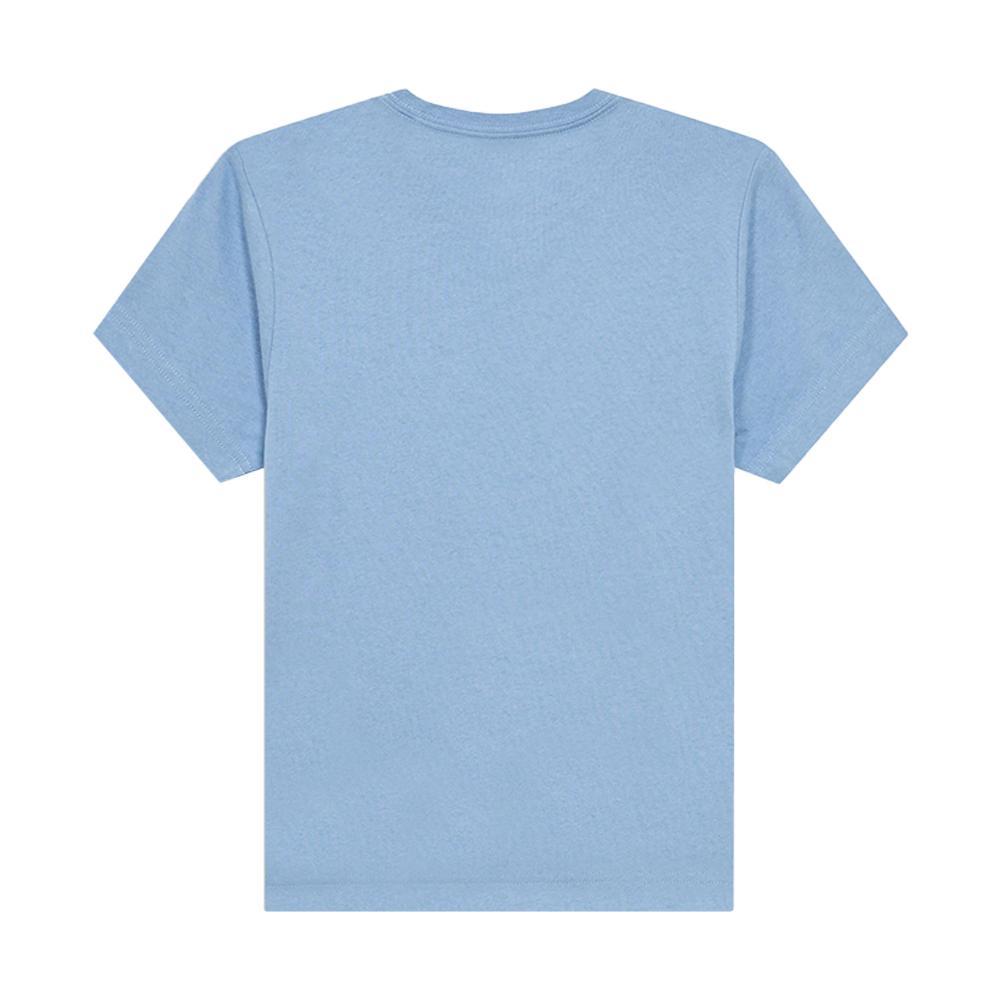 dickies t-shirt dickies. polvere - foto 2