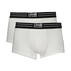 Boxer . bianco