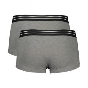 Boxer . grigio