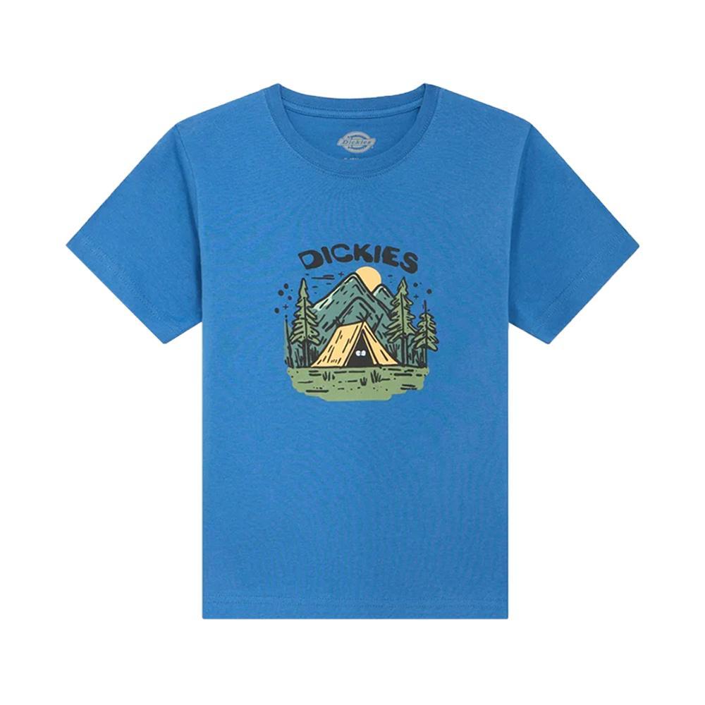 dickies t-shirt dickies. royal - foto 1