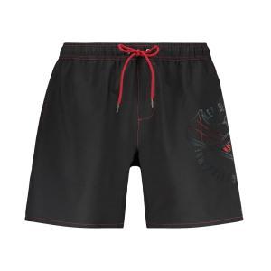 Boxer mare . nero