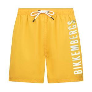 Boxer mare . giallo
