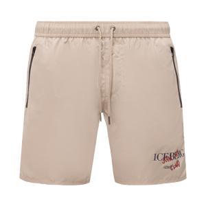Boxer mare . sabbia