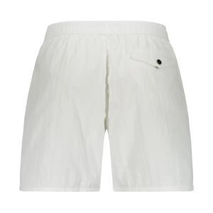 Boxer mare . bianco