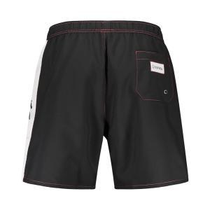 Boxer mare . nero/bianco