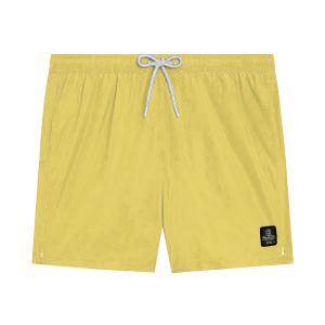 Boxer mare . giallo
