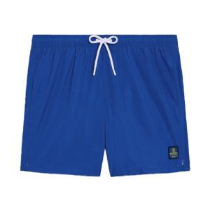 Boxer mare . blu