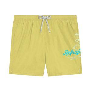 Boxer mare . giallo
