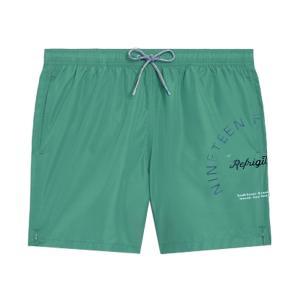 Boxer mare . verde