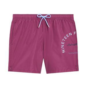 Boxer mare . bordeaux