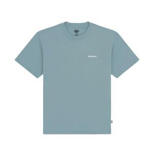 T shirt . polvere